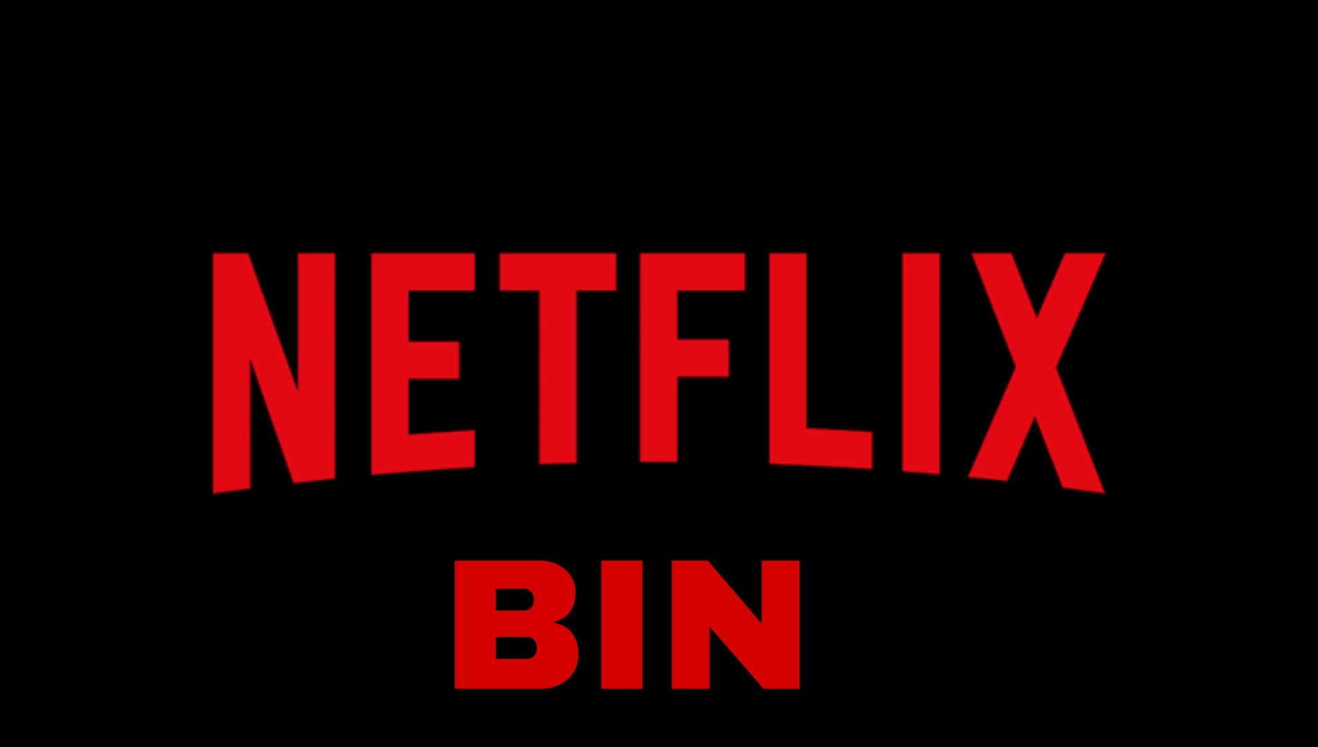 Netflix BIN List of 2022